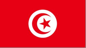 Tunisie - innotelos | vitamines pour l'innovation